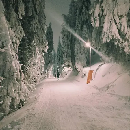 Nest * Jahorina